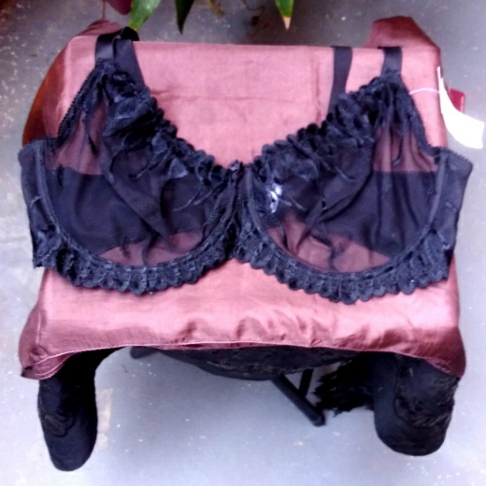 Donna L'oren Bra...NWT